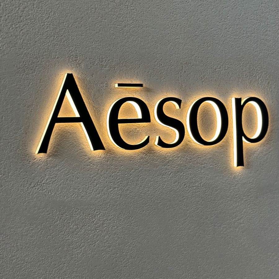 Luxury Aesop logo wall art canvas featuring an illuminated minimalist brand-inspired design on a textured neutral wall.