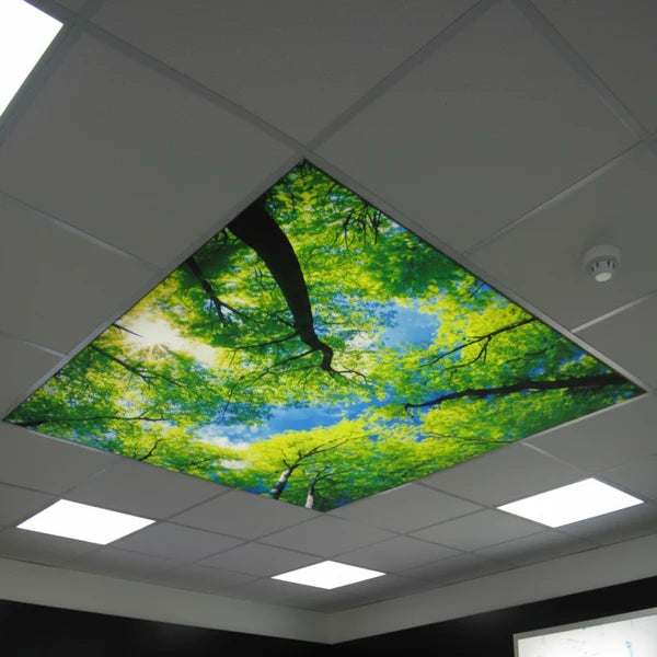 Premium LED Display Wall Panel for Events, Showrooms, Exhibitions & Advertising